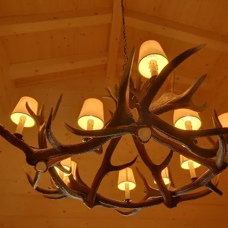 فندق Schatzalp 3*