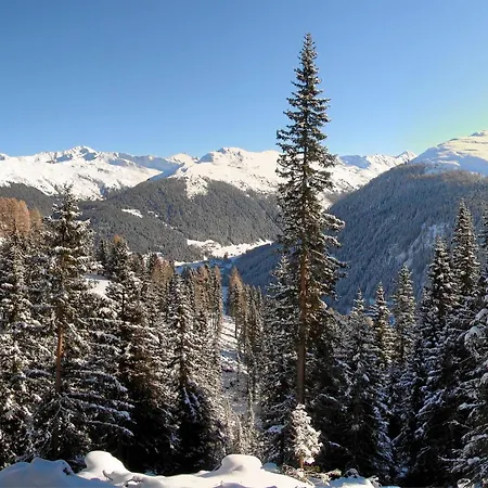 斯哈泽尔普酒店