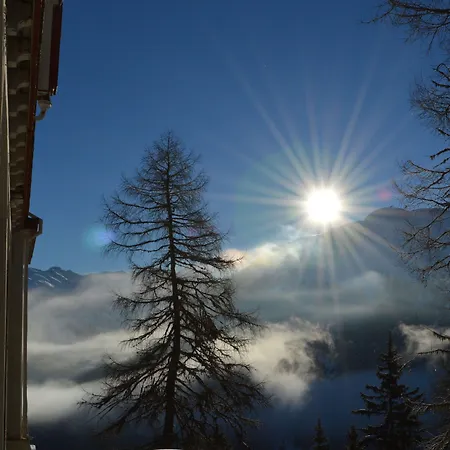酒店 斯哈泽尔普酒店