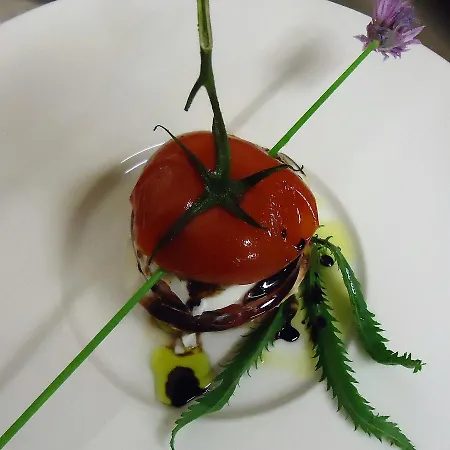 斯哈泽尔普酒店 达沃斯